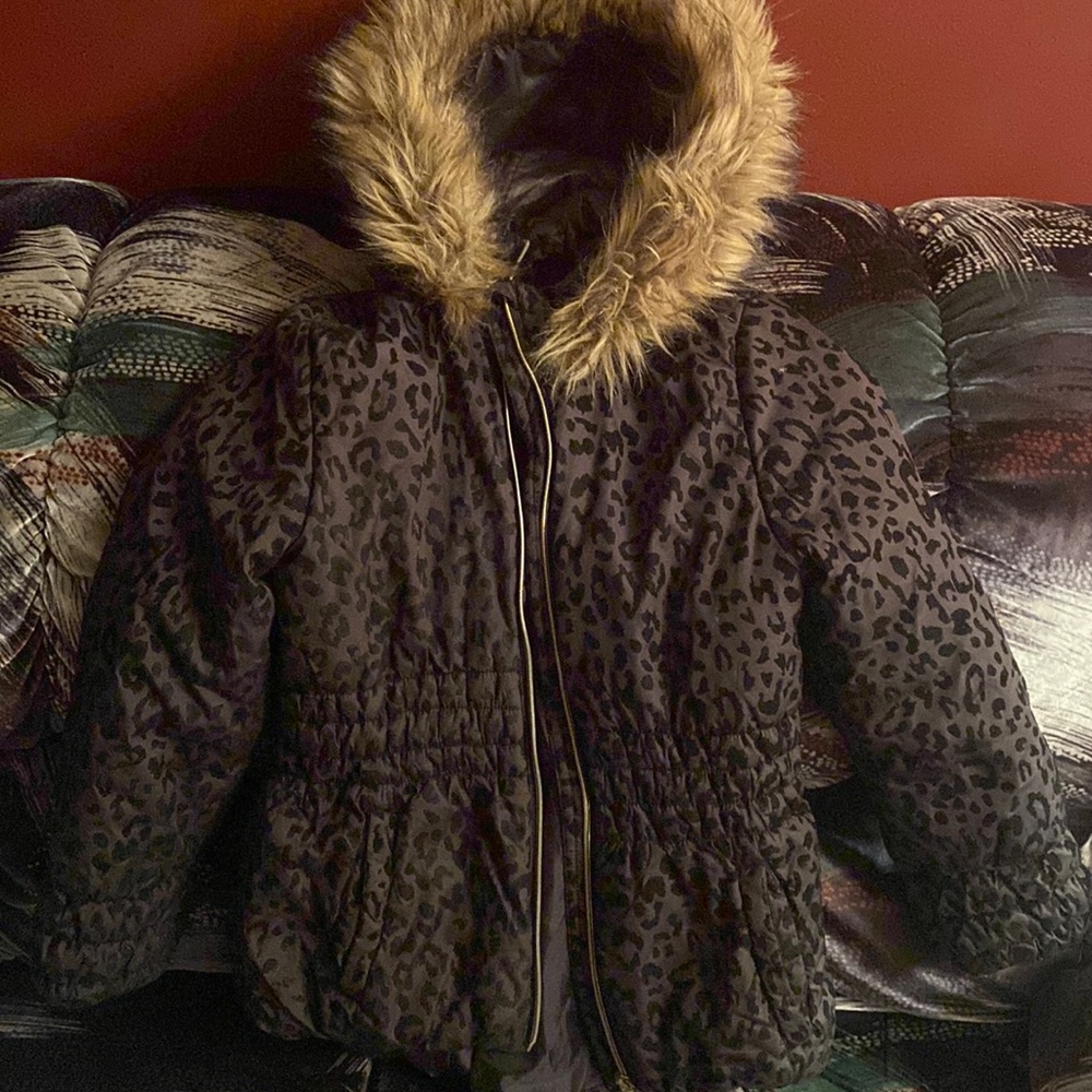 Spring/winter jacket